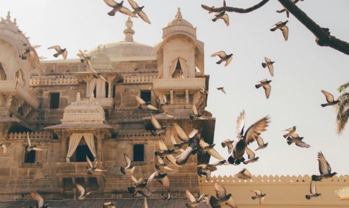 Jaipur: Private Amber Fort, Jal Mahal and Stepwell Tour - Jal Mahal