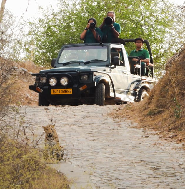 Jaipur: Private Jhalana Leopard Safari Tour - Recap
