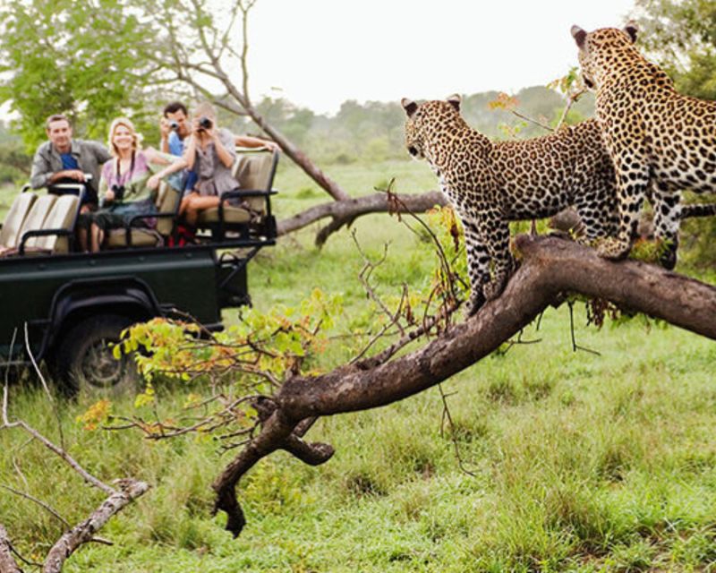 Jaipur: Private Jhalana Leopard Safari Tour - Key Points