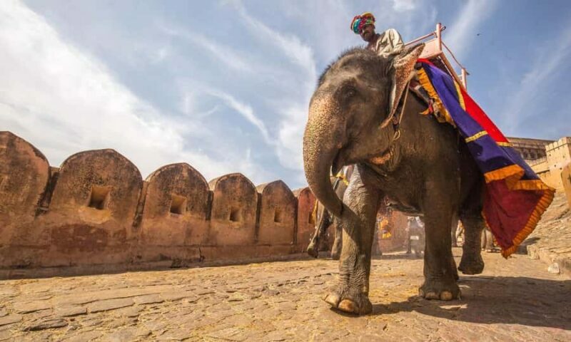 Jaipur: Private Luxury Full Day Guided City Tour By Car - An In-Depth Look at the Jaipur Luxury Full Day Tour