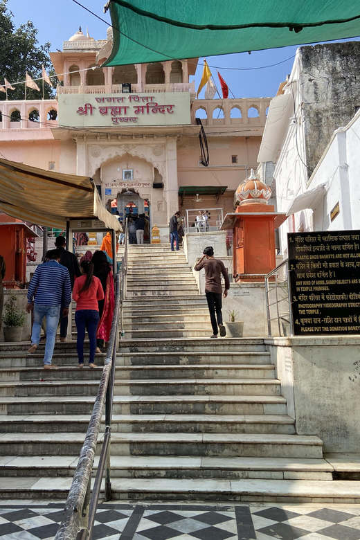 Jaipur to Pushkar Same Day Tour With Pickup & Dropoff - Key Points