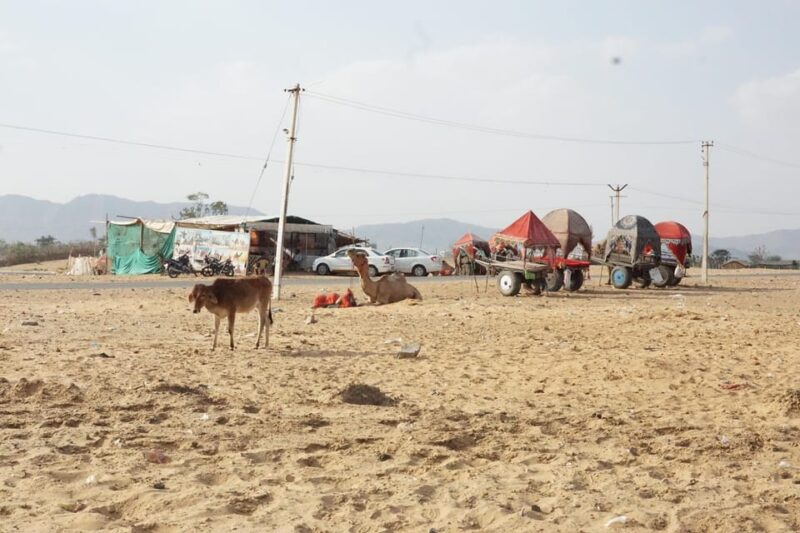 Jaipur to Pushkar Same Day Tour With Pickup & Dropoff - Recommendations