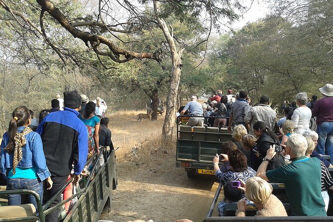 Jaipur to Ranthambore National Park Private One Day Trip - Included Services