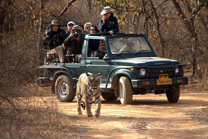 Jaipur to Ranthambore National Park Private One Day Trip - Pickup Arrangements