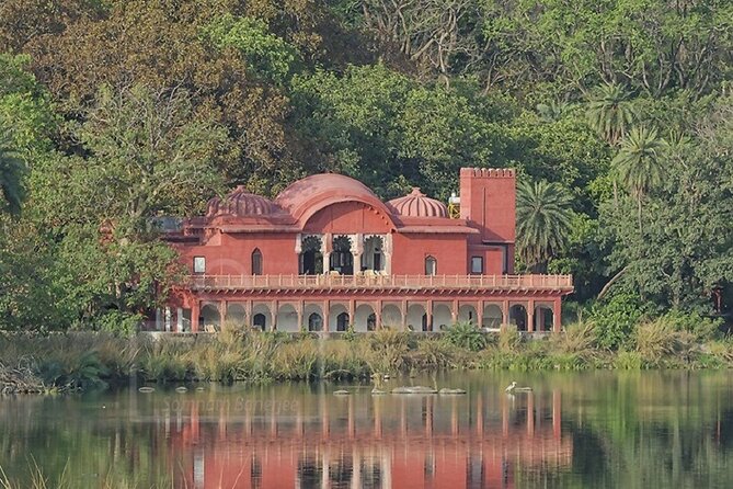 Jaipur to Ranthambore National Park Same Day Tour - Safari Experience
