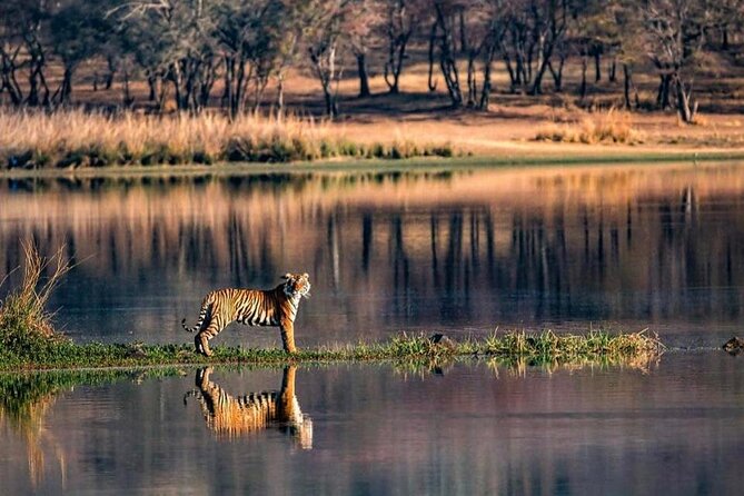 Jaipur to Ranthambore National Park Same Day Tour - Included Services
