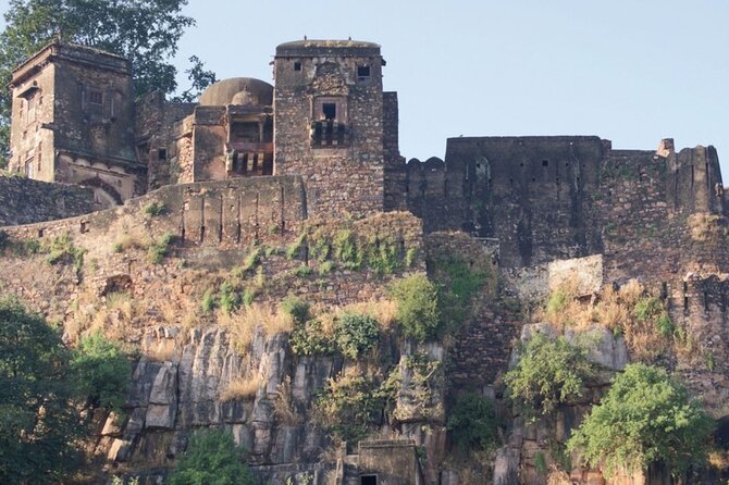 Jaipur to Ranthambore National Park Same Day Tour - Physical Requirements
