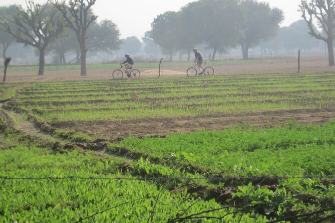 Jaipur Village Cycling Safari - Booking and Cancellation