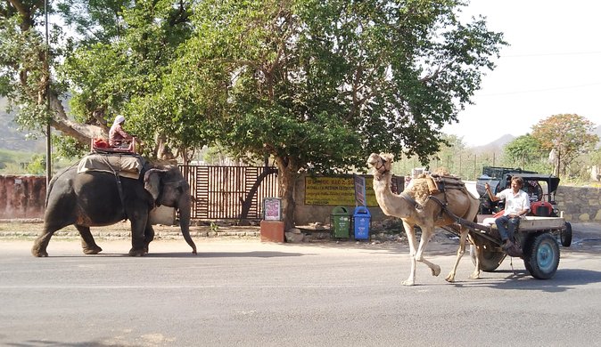 Jaipur Walking Tour - Additional Details About the Tour