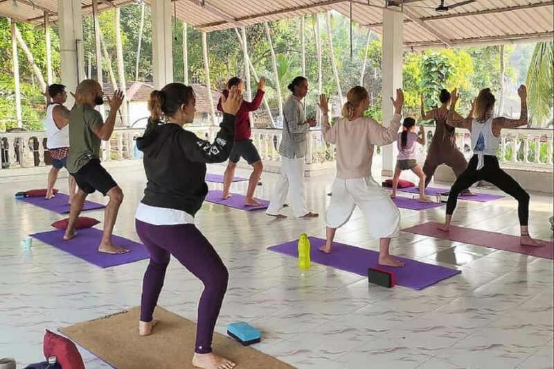 Jaipur: Yoga Experience with Monkey Temple Guided Tour - Key Points