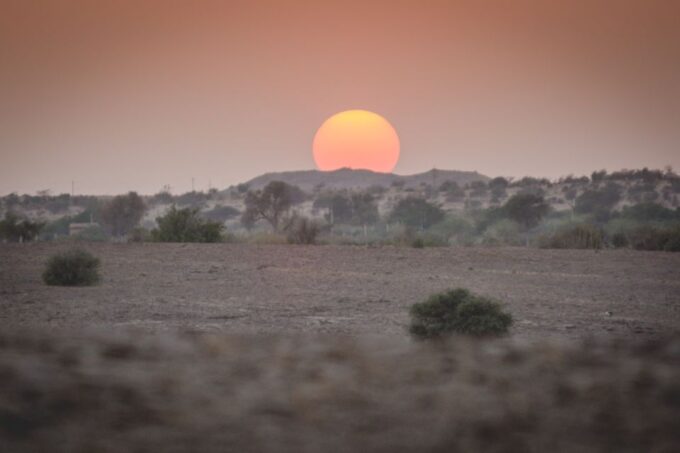Jaisalmer: 2-Day Thar Desert Experience - Booking Information