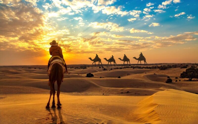 Jaisalmer: 2 Days Adventure in the Thar Desert - Highlights of the Adventure