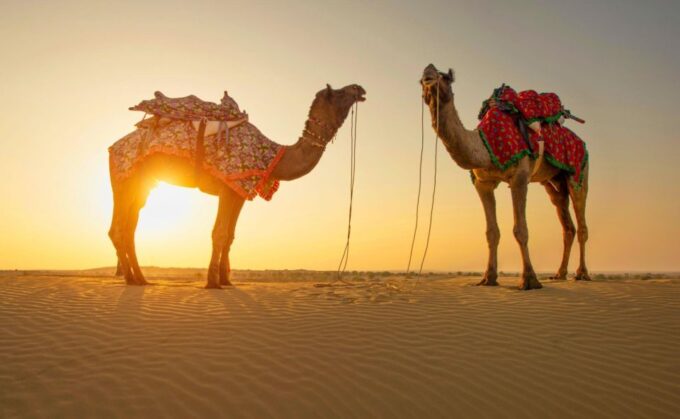 Jaisalmer: 2 Days Adventure in the Thar Desert - Tranquil Desert Overnight Stay