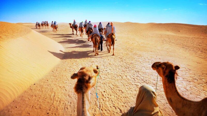 Jaisalmer: Desert Safari With Sunset and Dinner on Dunes - Key Points