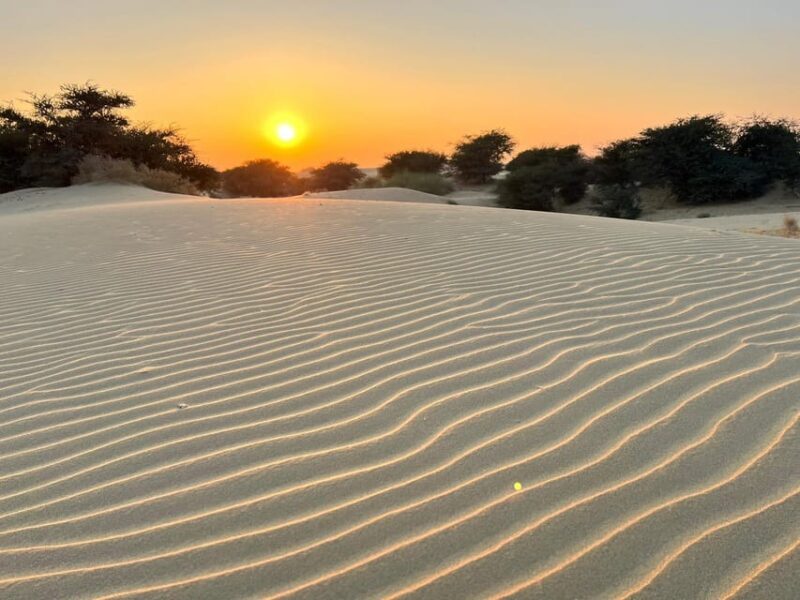 Jaisalmer Our Night Camel Safari in Sand Dunes Under Star - Prohibited and Recommended Items