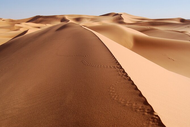 Jaisalmer Overnight Stargazing Desert Safari - Health and Safety Information