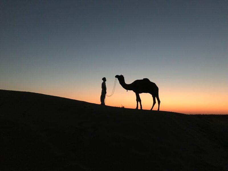 Jaisalmer: Private Desert Experience Under the Stars - Group and Language