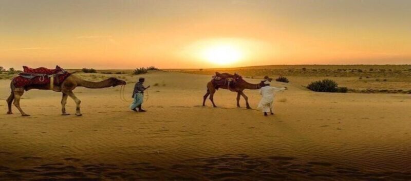 Jaisalmer: Private Full-Day City Sightseeing Guided Tour - Key Points