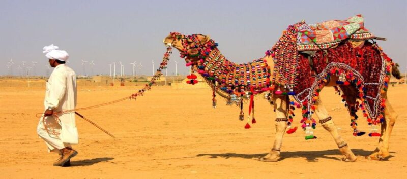 Jaisalmer: Private Full-Day City Sightseeing Guided Tour - Nathmal Ki Haveli