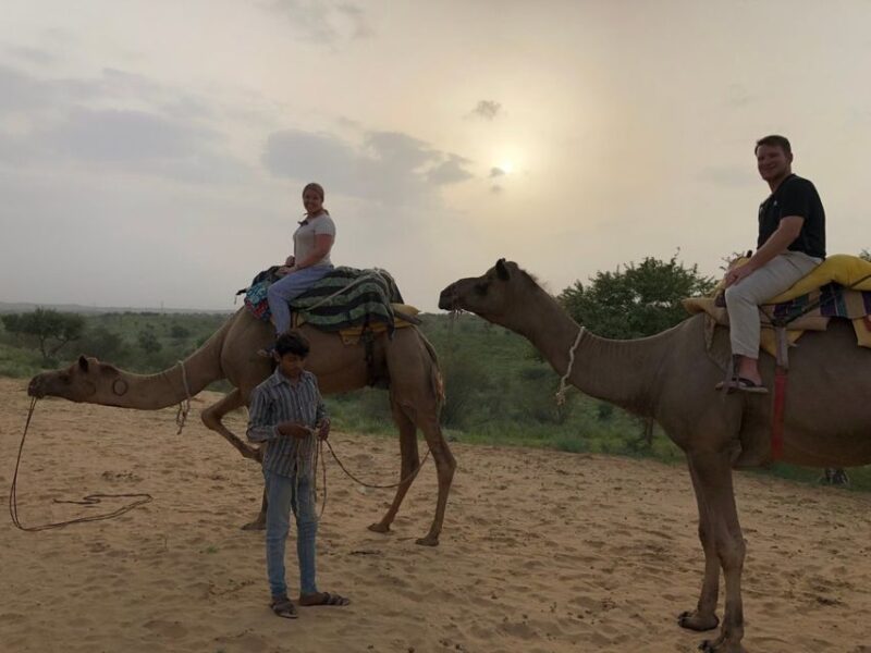 Jaisalmer: Private Transfer Servicer to Jodhpur - Booking and Payment