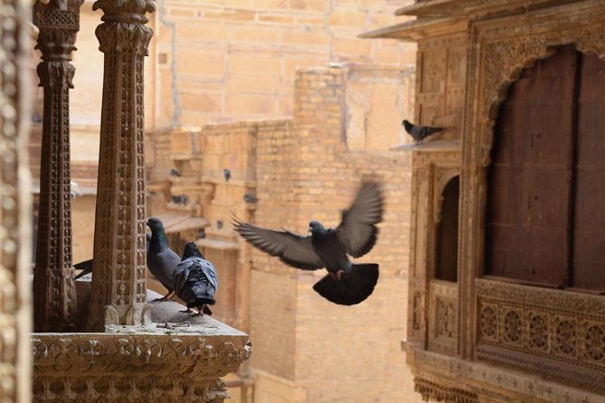 Jaisalmer Tuk-Tuk Private Full Day Tour With Pick-Up - Customer Reviews