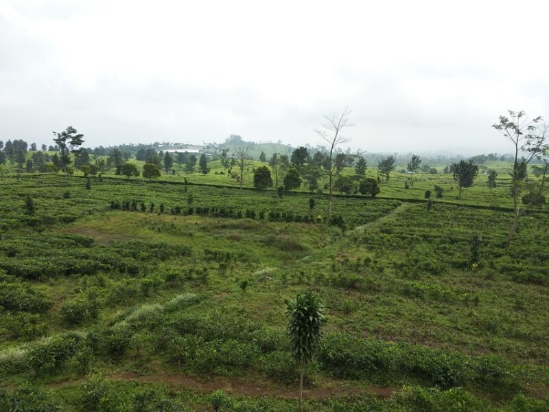 Jakarta: Active Volcano, Waterfall &Beautiful Local Village - Cibeusi Village Highlights