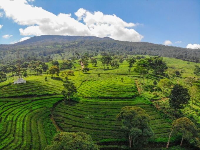 Jakarta: Bandung Volcano Day Tour - Customer Reviews
