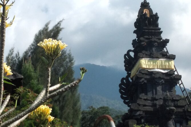 Jakarta Bogor Botanical Garden, Waterfall and Rice Terrace, Lunch - Wooden Puppet Maker Visit