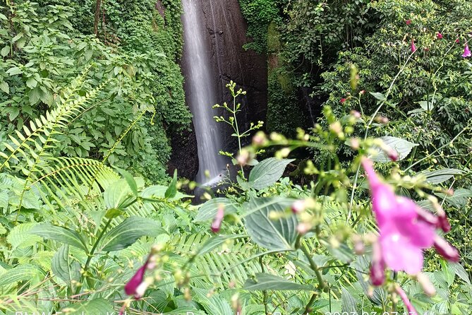 Jakarta Bogor Botanical Garden, Waterfall and Rice Terrace, Lunch - Included Fees and Taxes