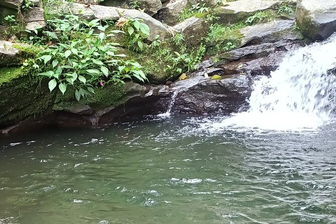 Jakarta Bogor Botanical Garden, Waterfall and Rice Terrace, Lunch - Transportation and Pickup Details