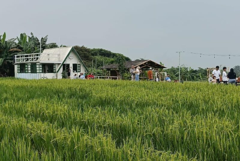 Jakarta Bogor Botanical Garden, Waterfall and Rice Terrace - Transportation and Inclusions