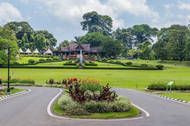 Jakarta: Bogor Botanical Gardens, With All Artists - Bogor Botanical Gardens