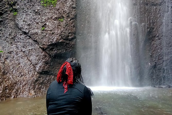 Jakarta Bogor Waterfalls (Guide Received Covid Vaccine) - Botanical Gardens and Palace