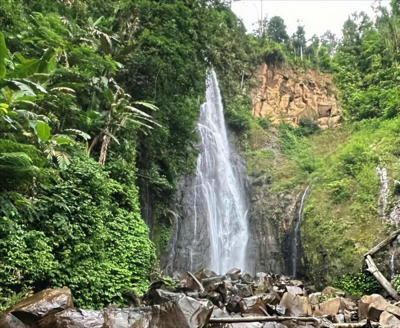 Jakarta: Botanical Garden & Rainforest Trekking to Waterfall - A Scenic Drive into the Countryside