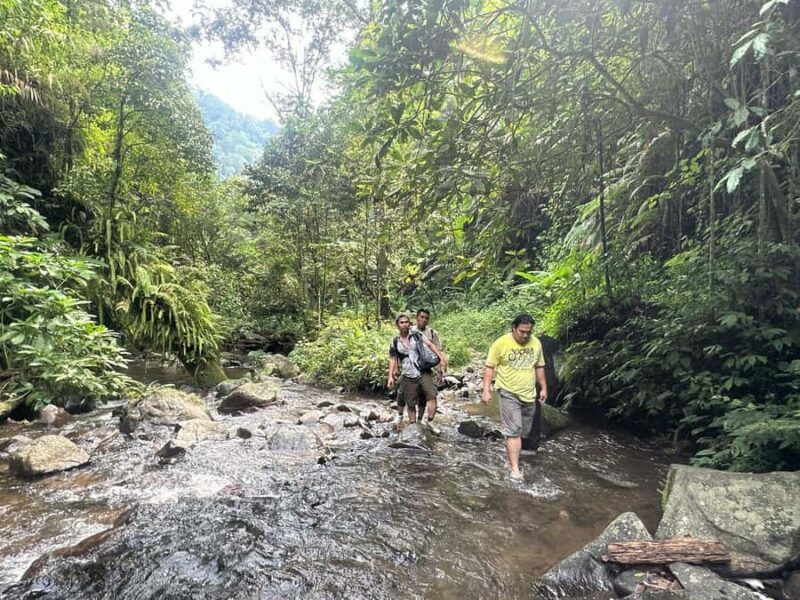 Jakarta: Botanical Garden & Rainforest Trekking to Waterfall - The Botanical Garden: A Tropical Paradise