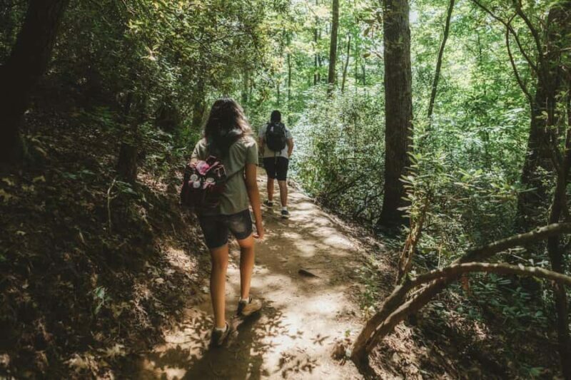 Jakarta: Botanical Garden & Rainforest Trekking to Waterfall - Rainforest Trekking to a Hidden Waterfall