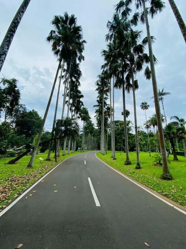 Jakarta: Botanical Garden & Rainforest Trekking to Waterfall - Practical Tips for the Trek