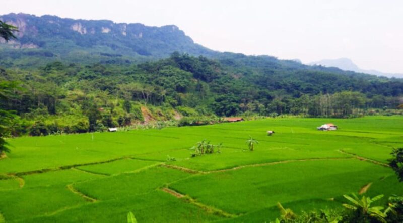 Jakarta: Botanical Garden, Waterfall, Village & Rice Field - Key Points