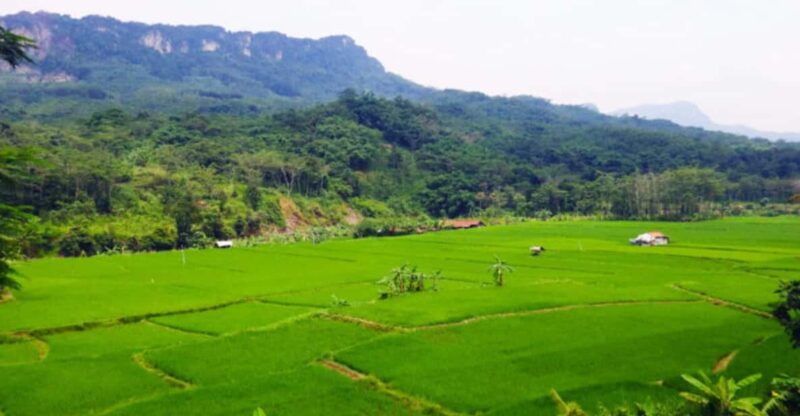 Jakarta: Botanical Garden, Waterfall, Village & Rice Field - Itinerary Highlights