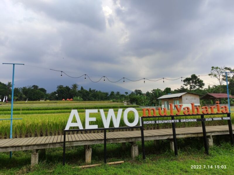 Jakarta : Botanical Garden, Waterfalls, and Rice Fields Tour - Wooden Puppet Studio (Wayang Golek)