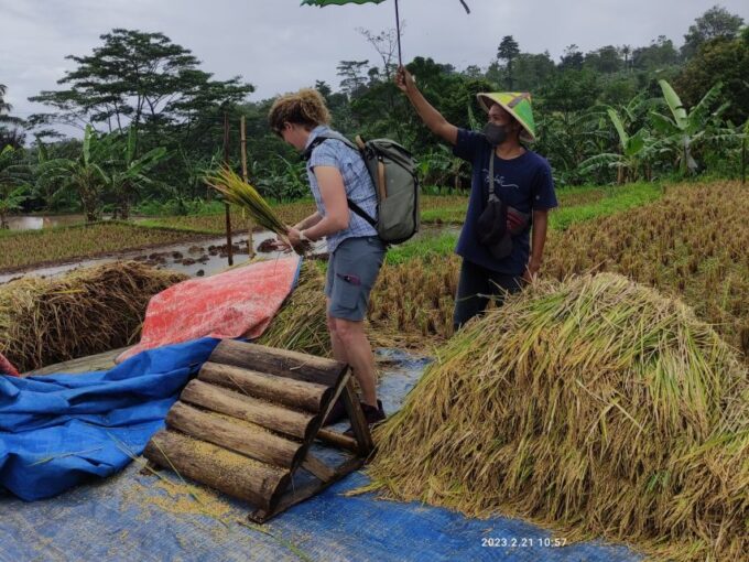 Jakarta : Botanical Garden, Waterfalls, and Rice Fields Tour - Important Information