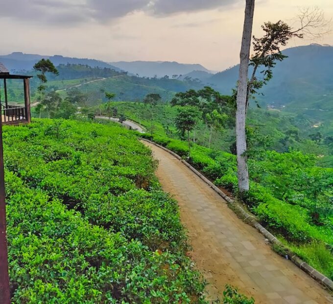 Jakarta Private Tour: Gunung Padang Site - Customer Feedback