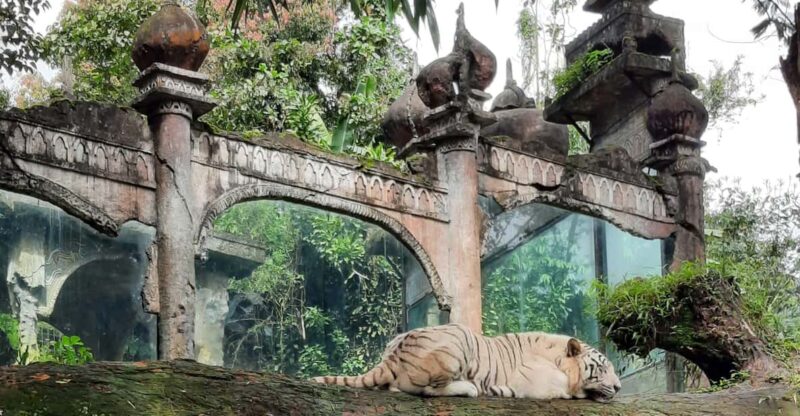 Jakarta: Safari Park, Panda Palace, and Waterfall - Key Points