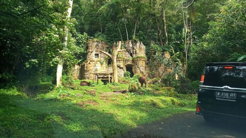 Jakarta: Safari Park Show, Tea Plantation & Waterfall - Animal Shows and Feeding