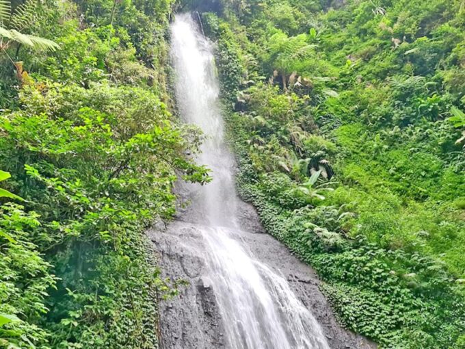Jakarta: Safari Park Show, Tea Plantation & Waterfall - Tea Plantation and Waterfall
