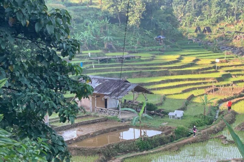 Jakarta: Sentul Pine Forest and Waterfall Trekking Tour - Practical Tips and Considerations