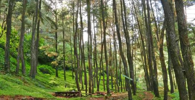 Jakarta Tour : Natural Views, Waterfall and Botanical Garden - Sundanese Heritage