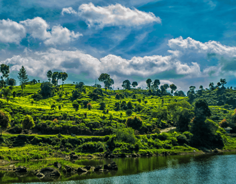 Jakarta: Volcanic White Crater Lakes & Tea Plantations Tour - Inclusions