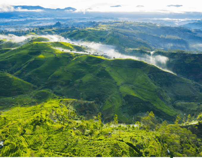 Jakarta: Volcanic White Crater Lakes & Tea Plantations Tour - Patenggang Lake Experience