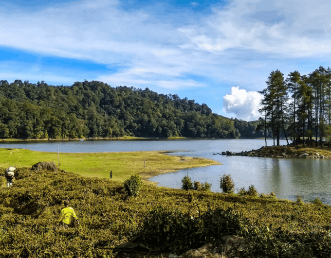 Jakarta: Volcanic White Crater Lakes & Tea Plantations Tour - Frequently Asked Questions